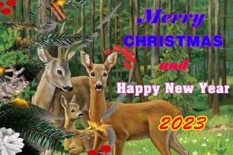 Merry Chrismas and Happy New Year 2023